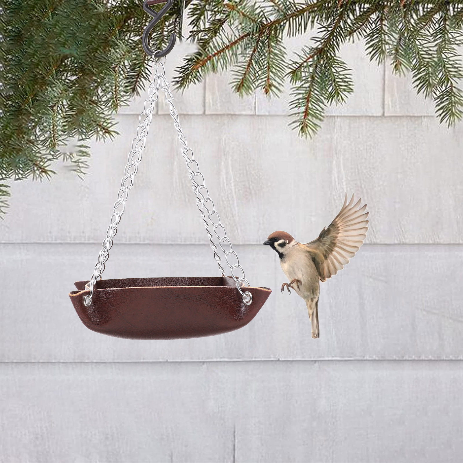 Tempat Makan Burung Transparan - Feeding ulasan dan harga